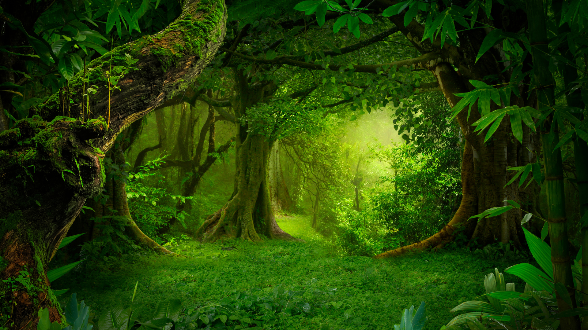 Hãy để những kỷ niệm bắt đầu.